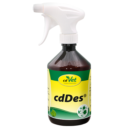 cdDes Hygiene- und Desinfektionsmittel 500 ml Sprühflasche