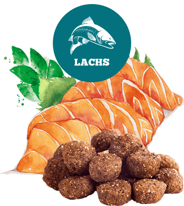 THE GOODSTUFF Lachs Adult